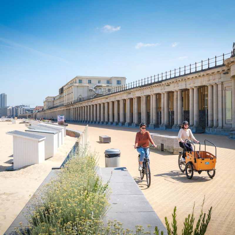 web_image_header_bg_large-Etalageroute Oostende_Groen Lint (37)